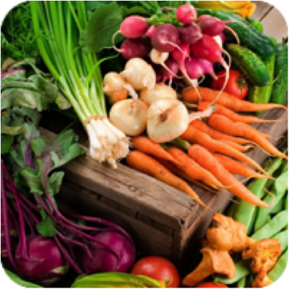 vegetables_nutrition_page.png